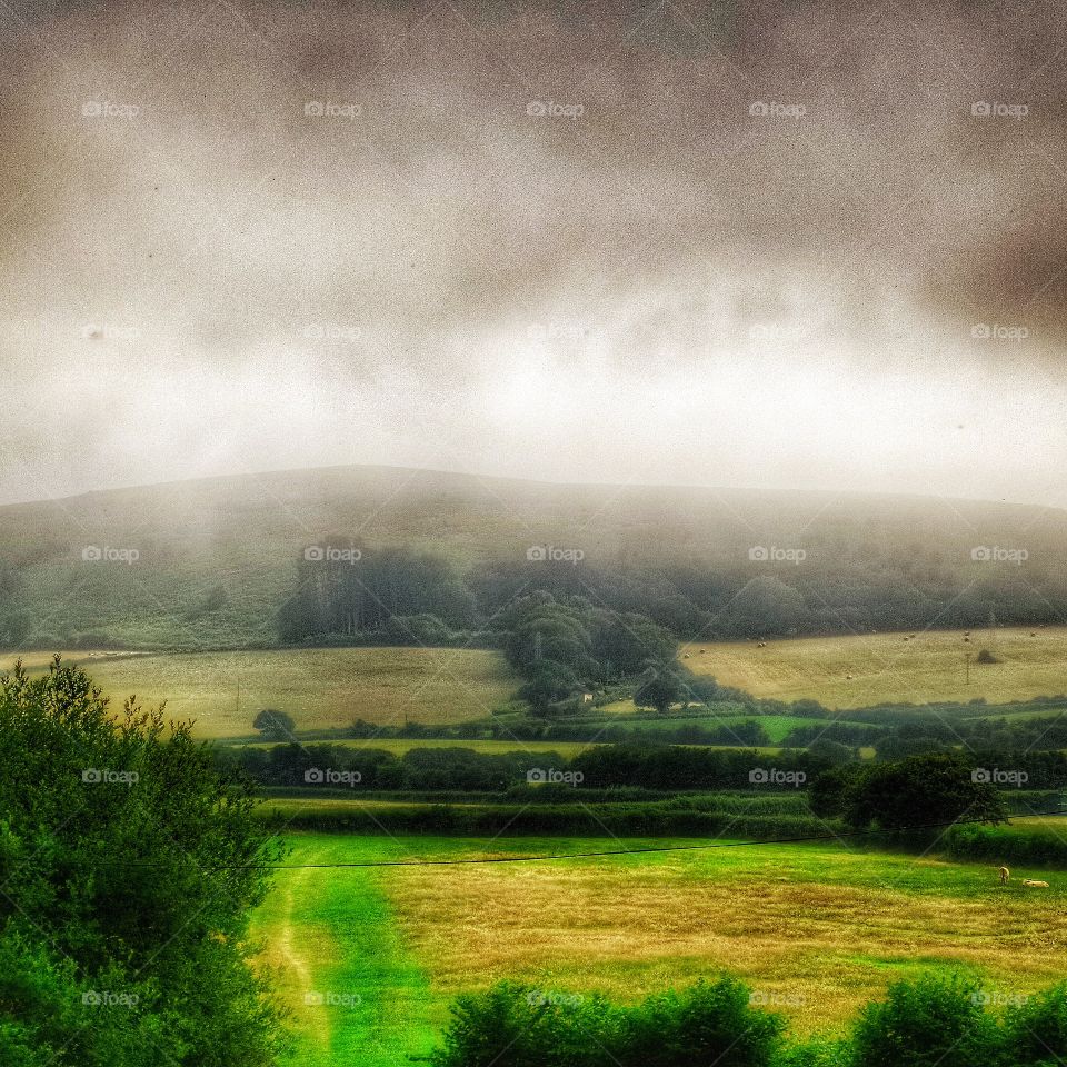 Landscape . Rural landscape 