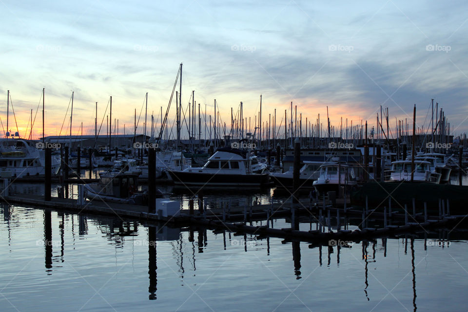 Sailboats on bay in Bellingham Washington