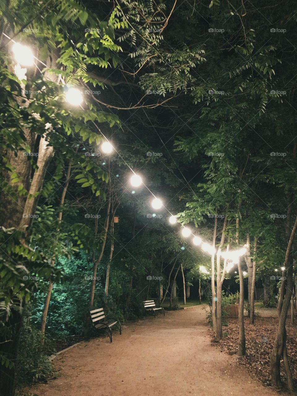 Circle lamps in the park with benches and green trees 