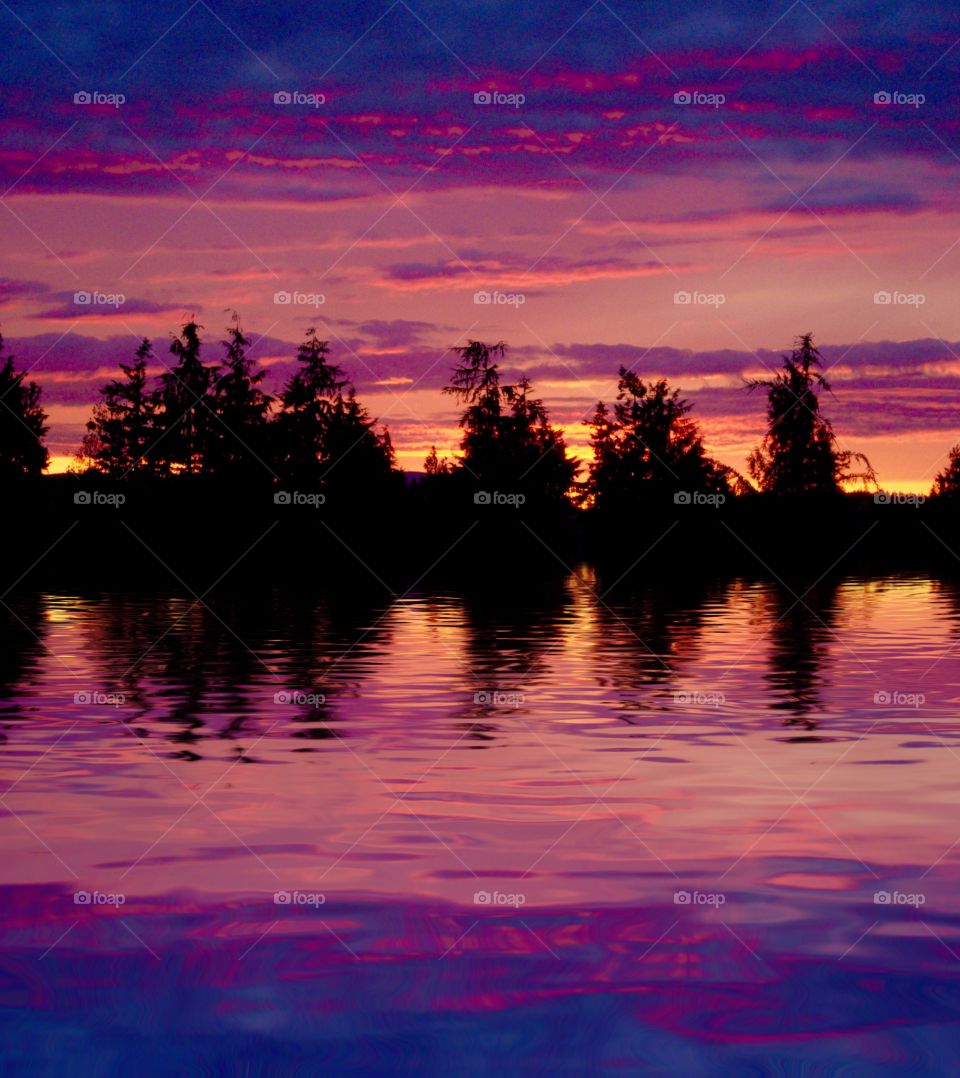 Trees reflected on river during sunset
