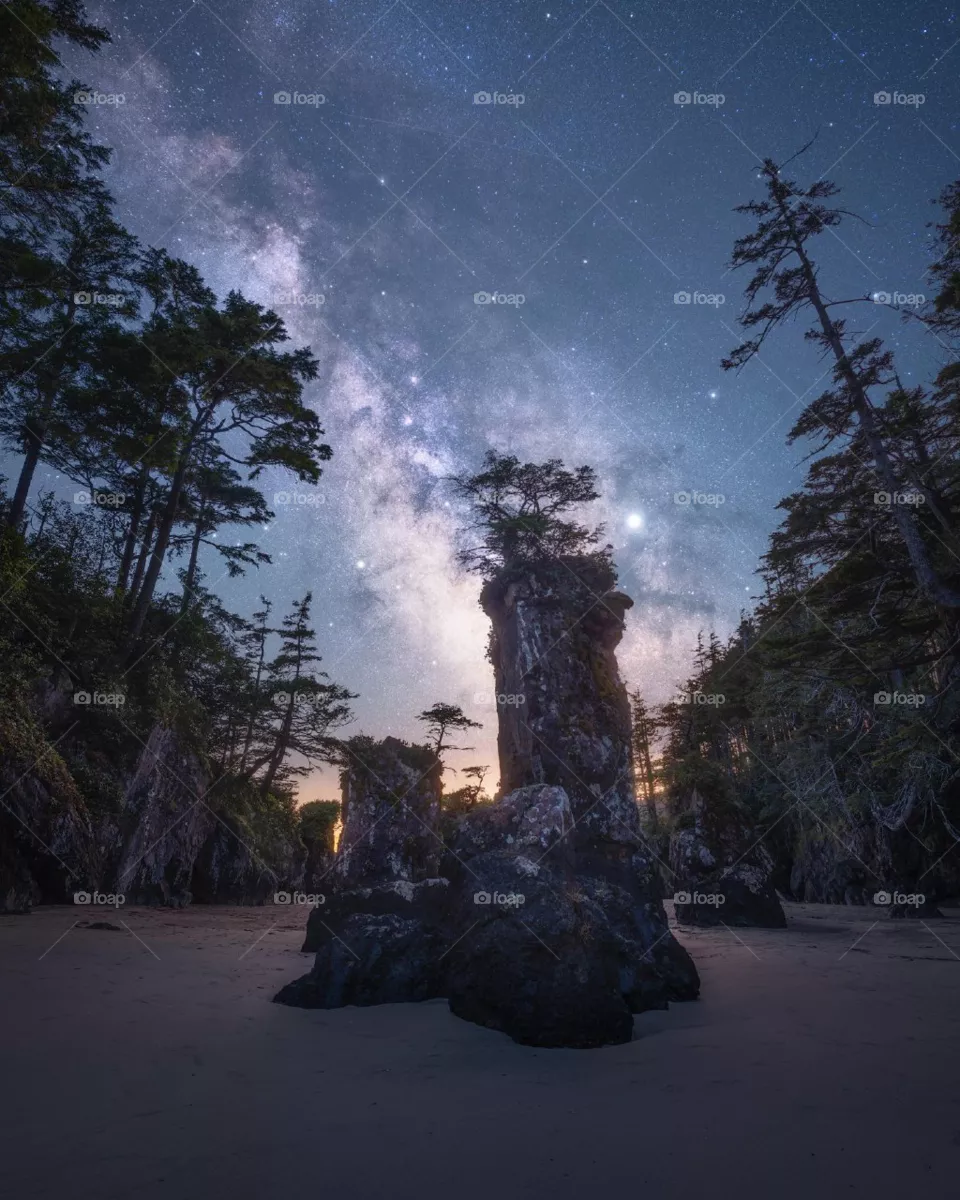 natural sky tree