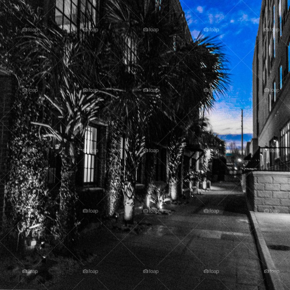 Side street in Columbia, South Carolina