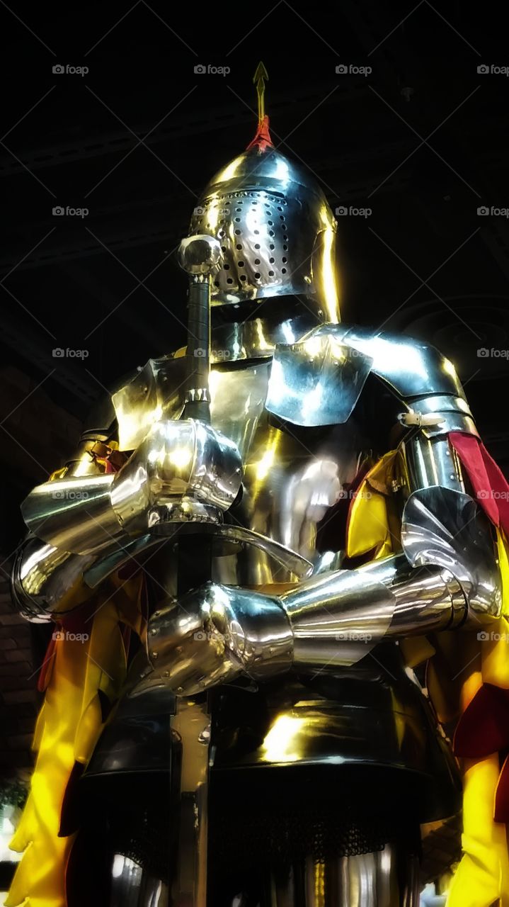 Knight's armor