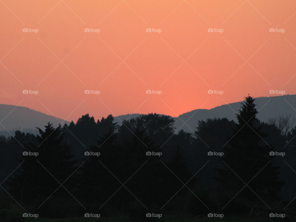 The setting sun has just dipped below the mountains still lighting the sky in a beautiful pink & orange glow. The trees & mountains are darkly silhouetted against the glowing sky but the form of the fir trees in the foreground is still visible.