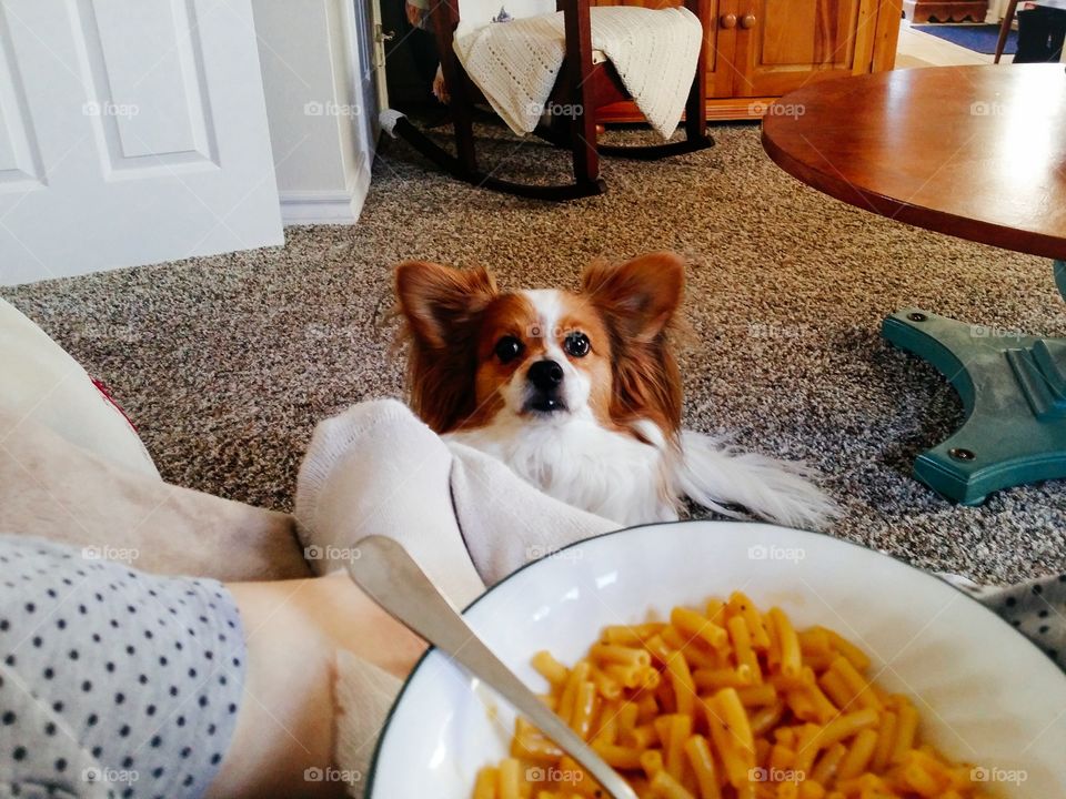 May I Please Have a Bite