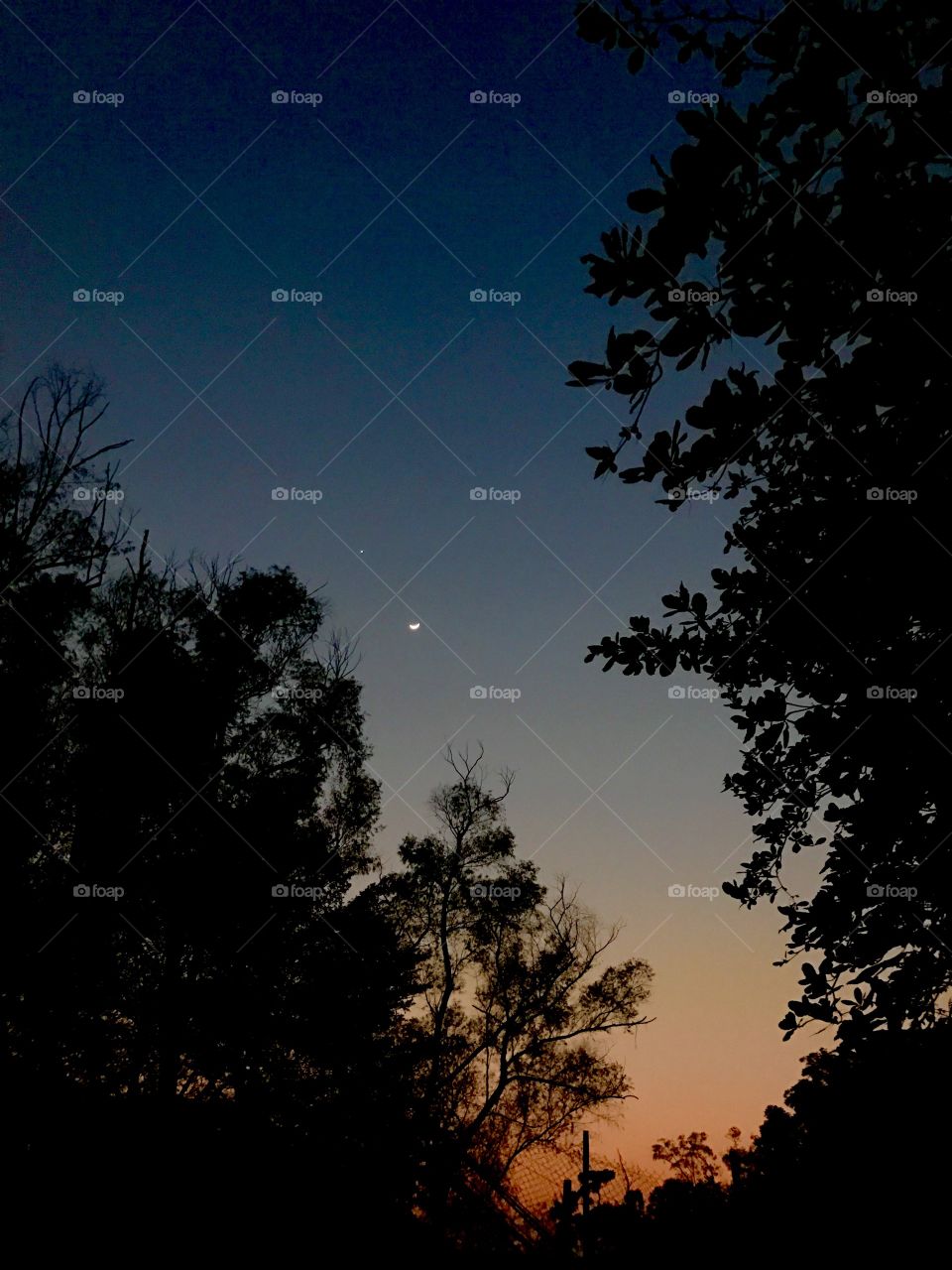 Love that transition between the sunset and nightfall 