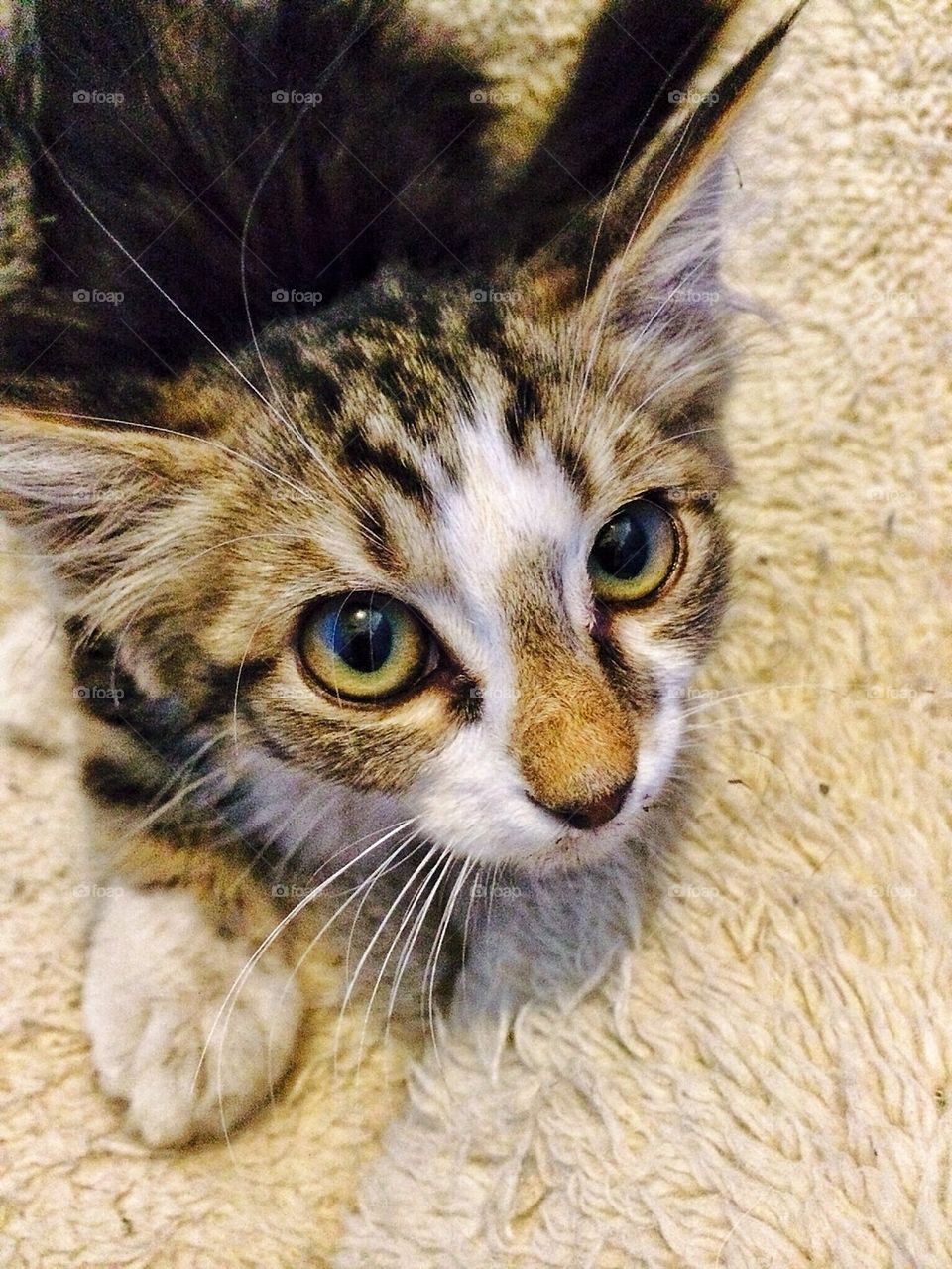 In loving memory of Bob