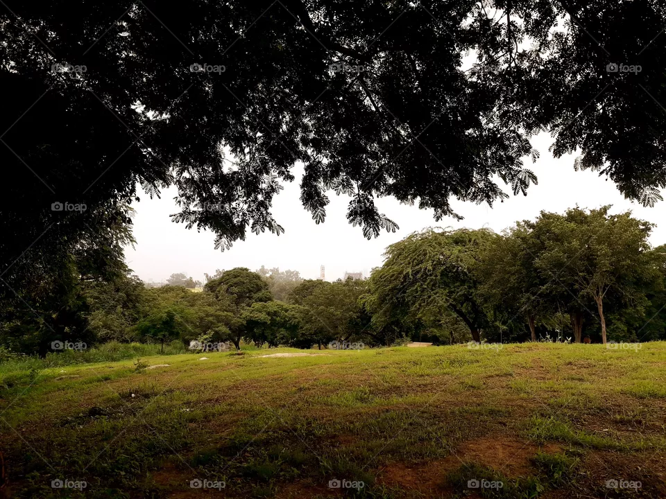 park
