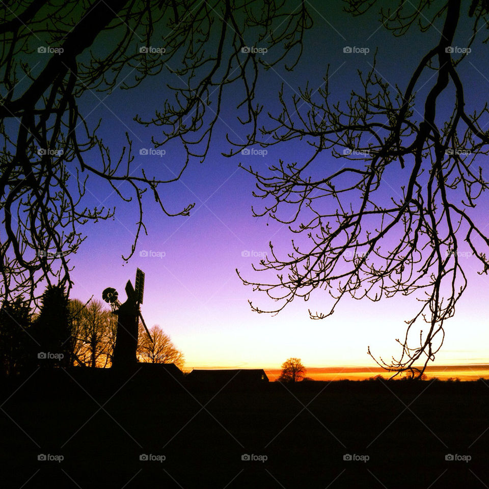 sky tree sunset silhouette by danielbritton