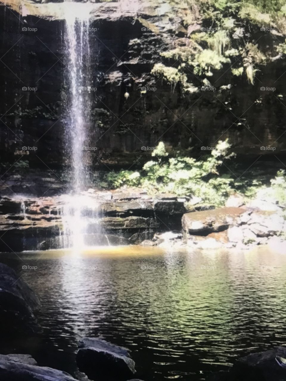 Wentworth falls waterfall