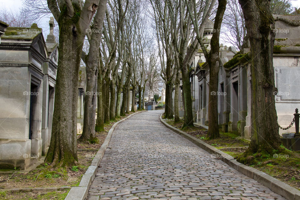 graveyard in the cemetery in paris