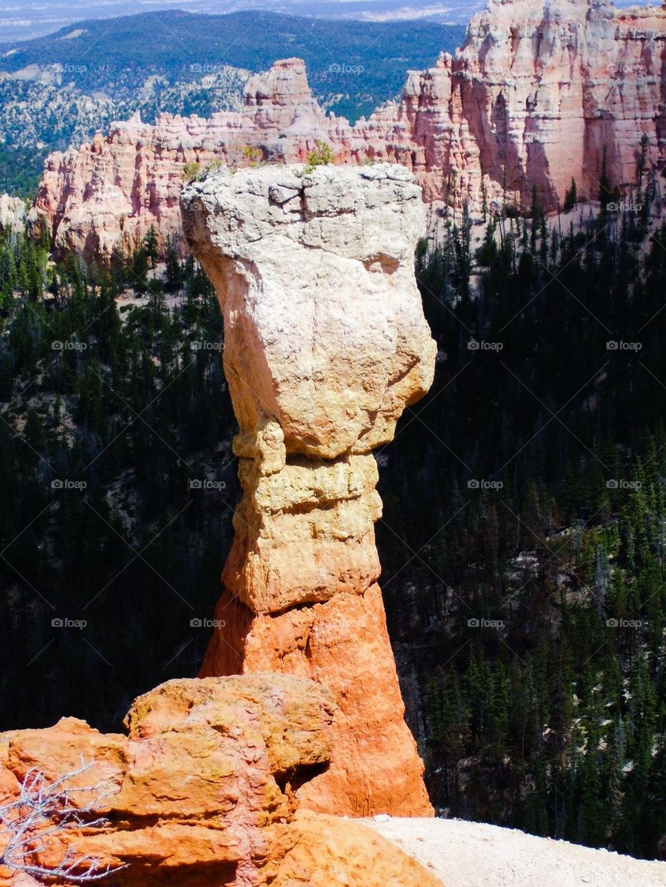 View of a rock