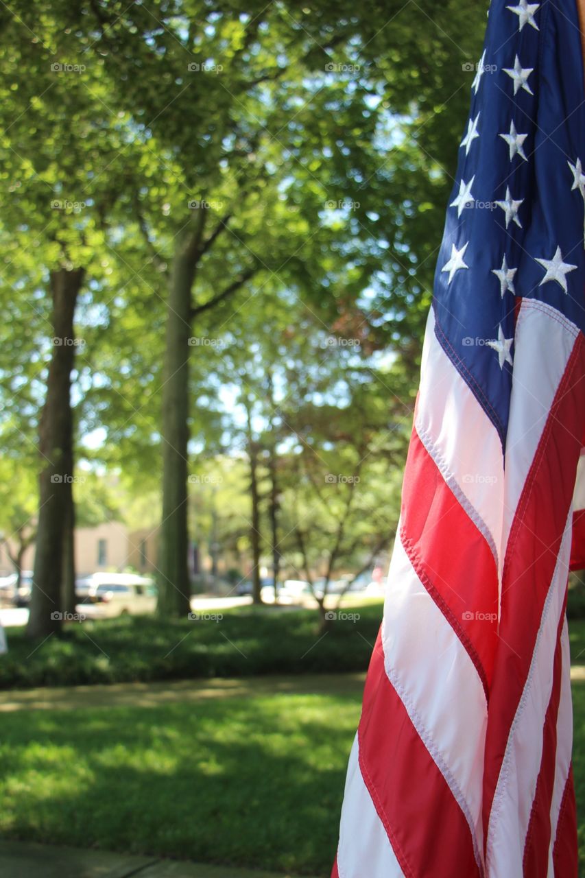 American flag in the center of town on a sunny day