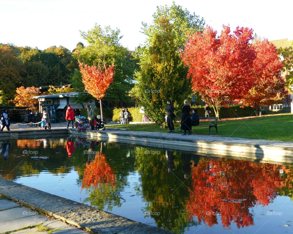 Botanic garden in Gothenburg Sweden 