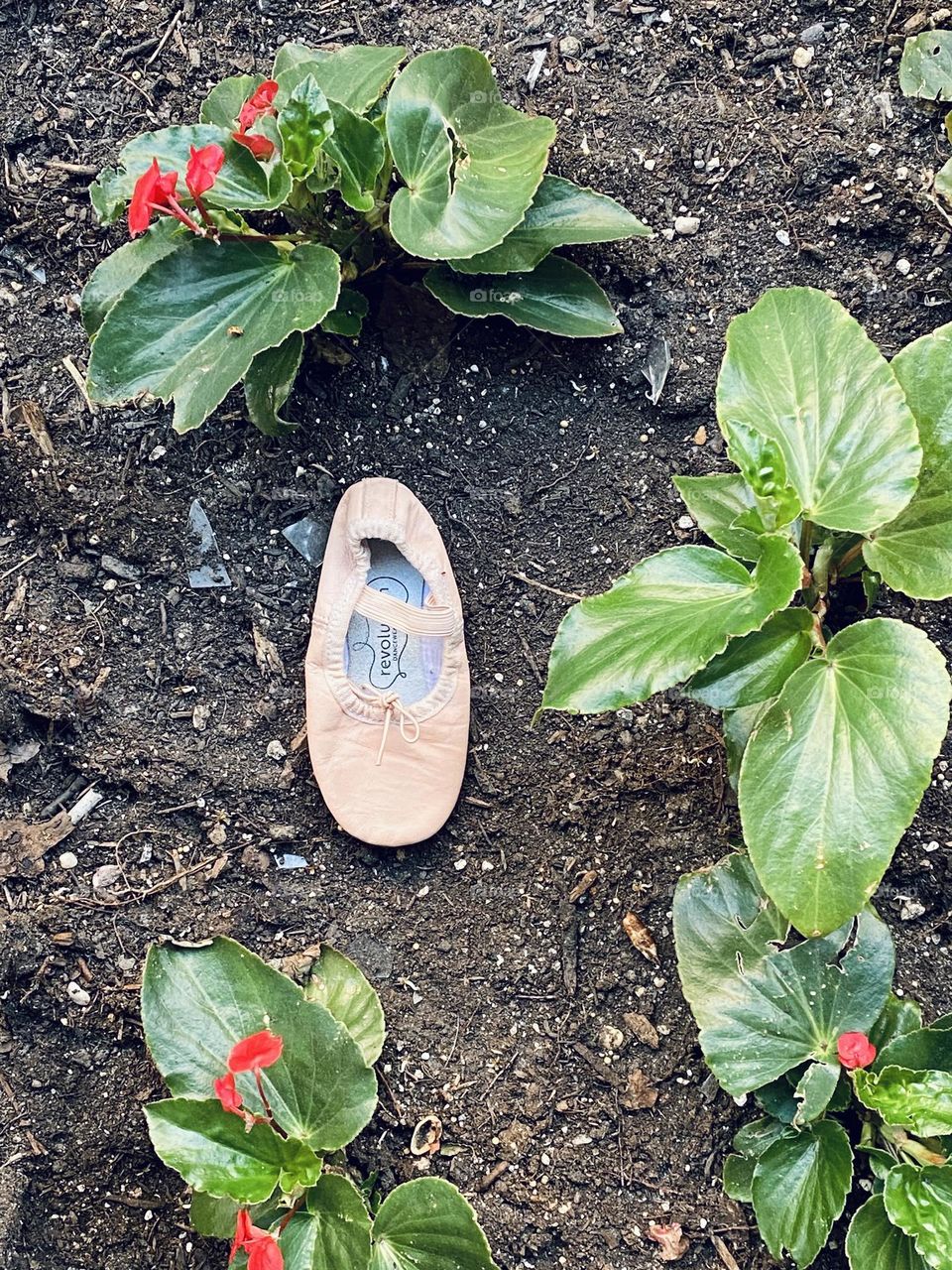 Baby shoes fell down on the garden surrounded with plants.