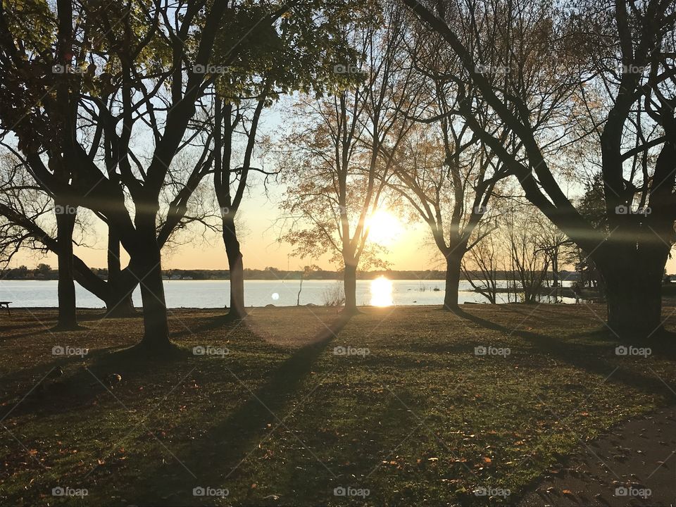Sunset over the water in a park