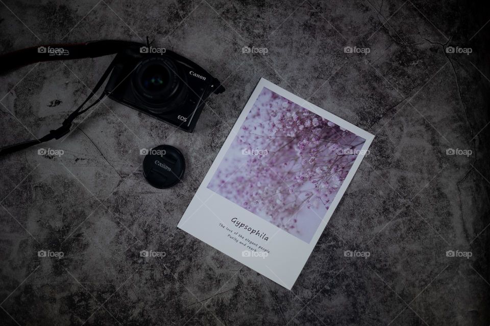 a picture and mirror less camera