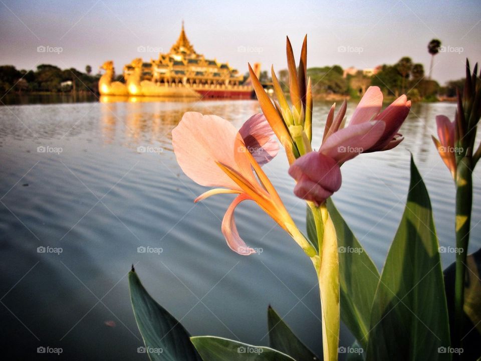 Kandawgyi Lake, Myanmar