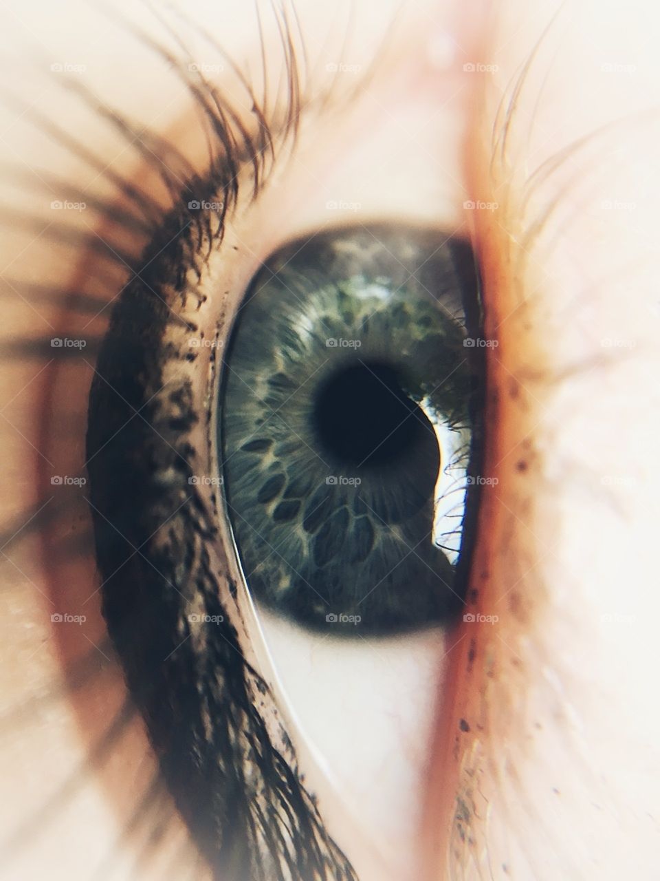 Closeup of an eye- edited using snapseed