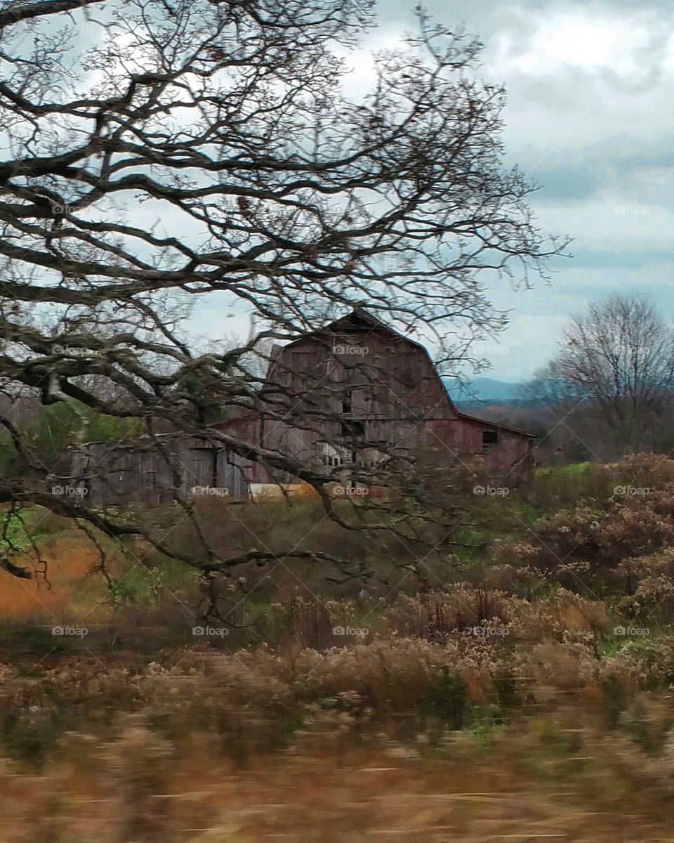 Old barn
