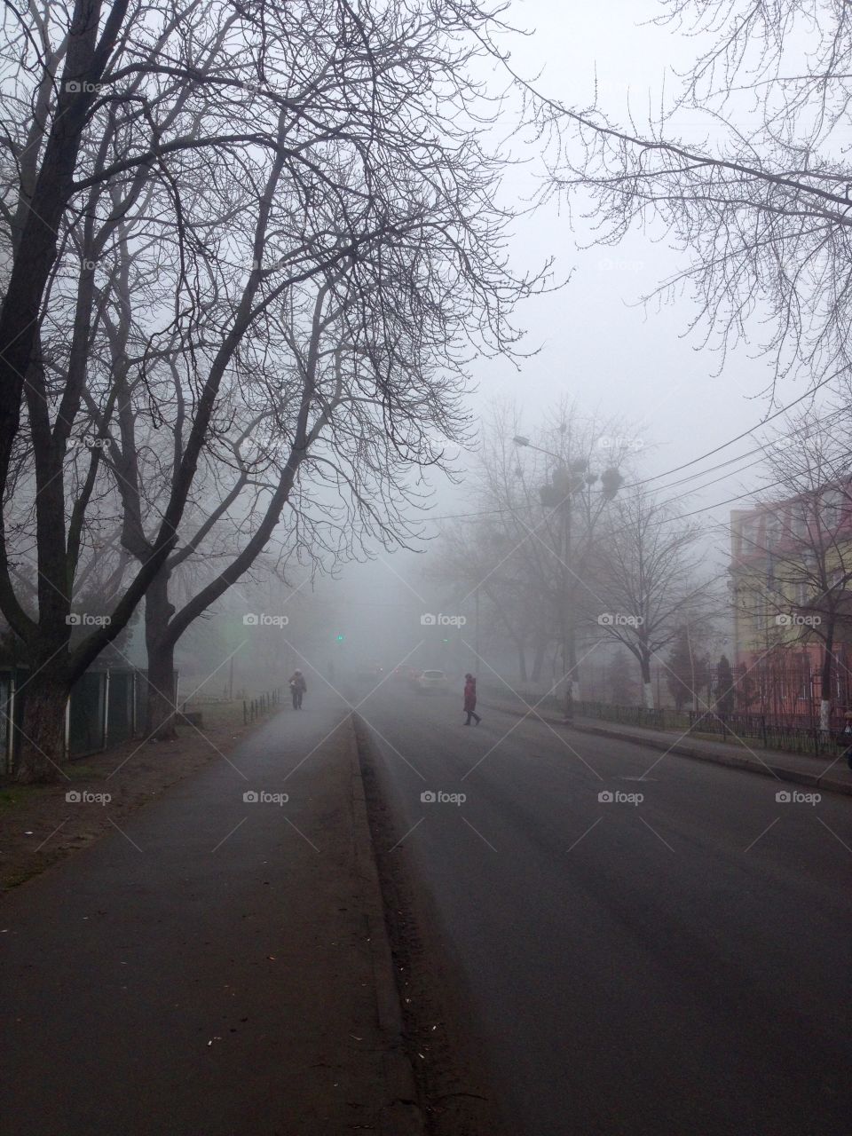 Fog on the streets of Kyiv