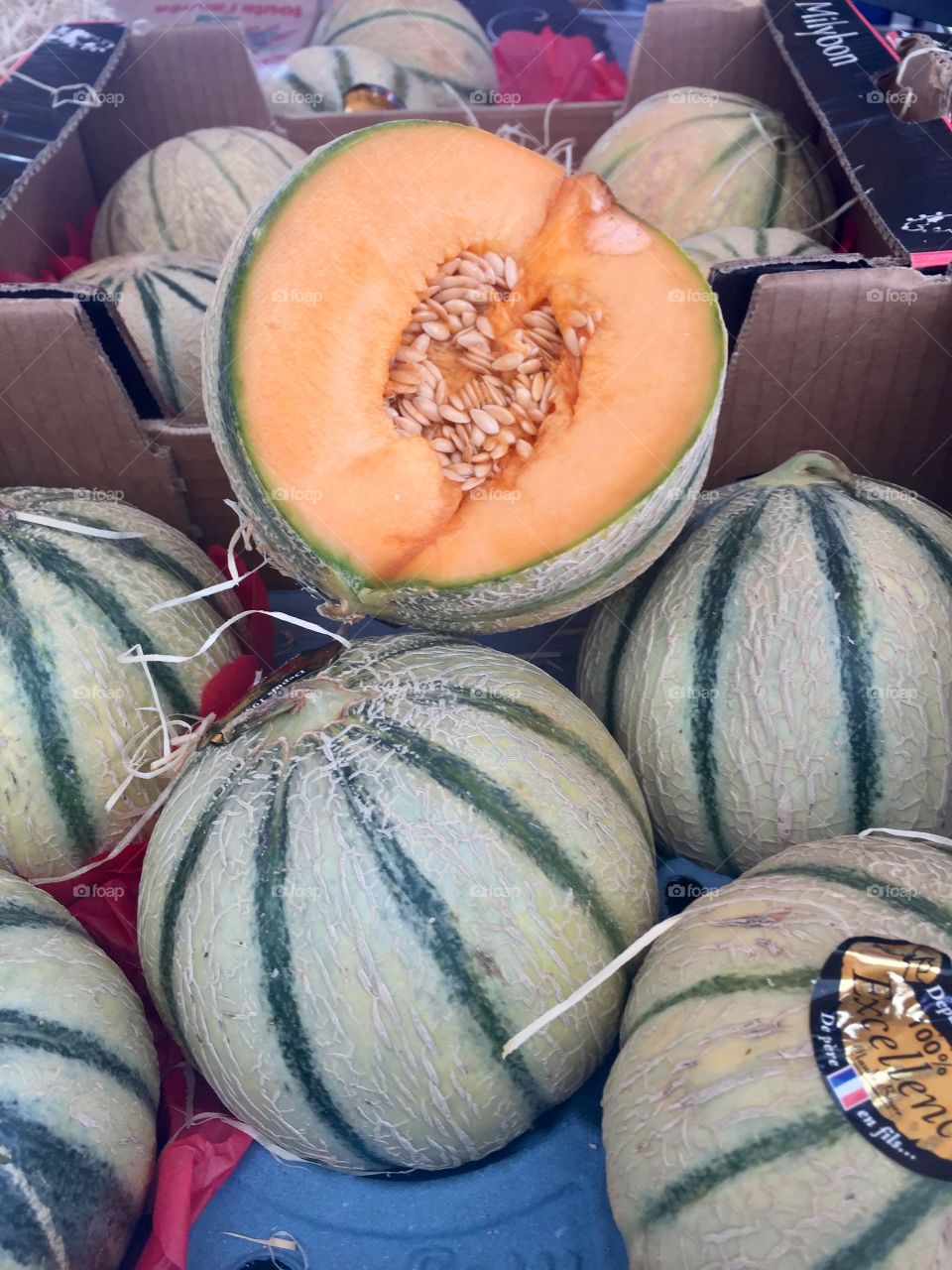 Melons