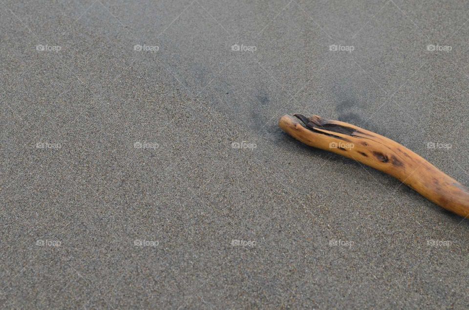 wooden on the beach sand