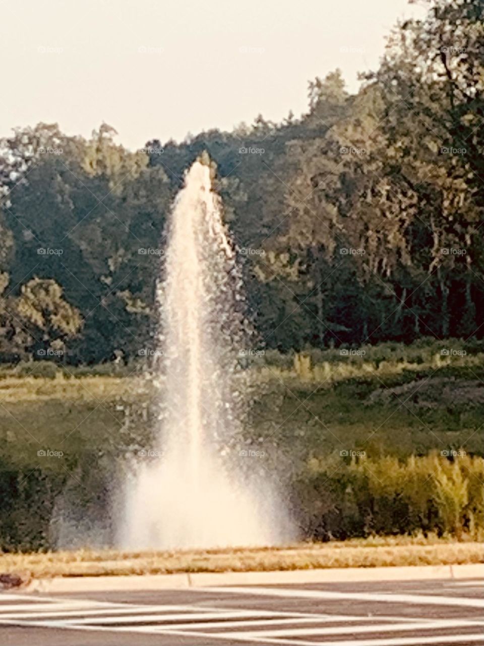 Fountain 