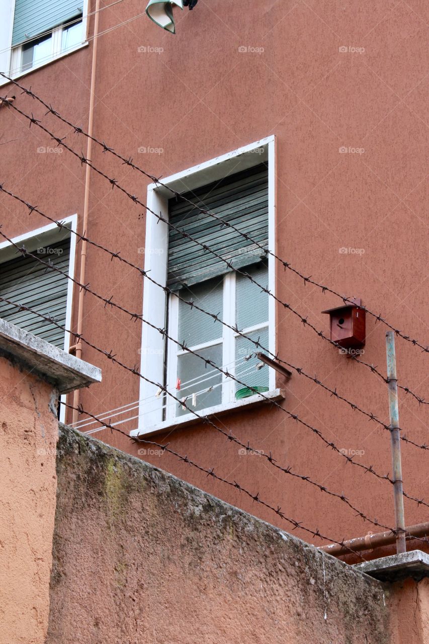 Birdfeeder at Garbatella 