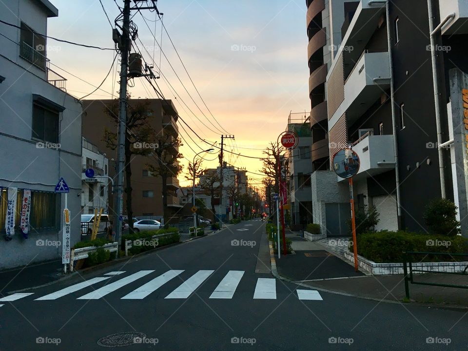 Urban sunset in Tokyo. 