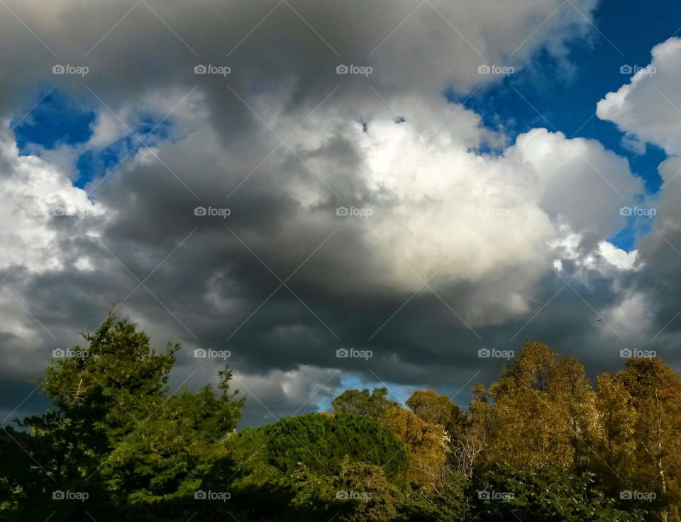 Big storm cloud over tree