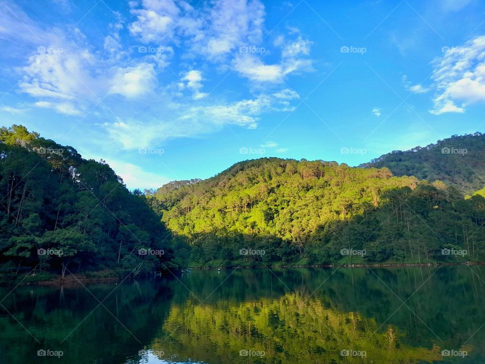 at a monsoon session every where greenery