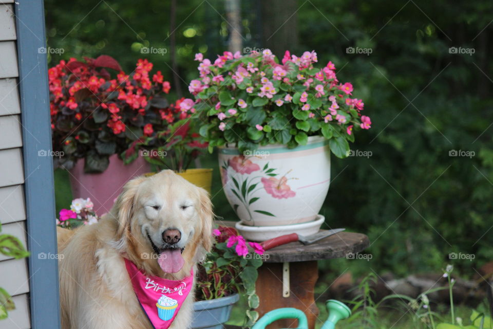 Summertime Birthday, making a wish!