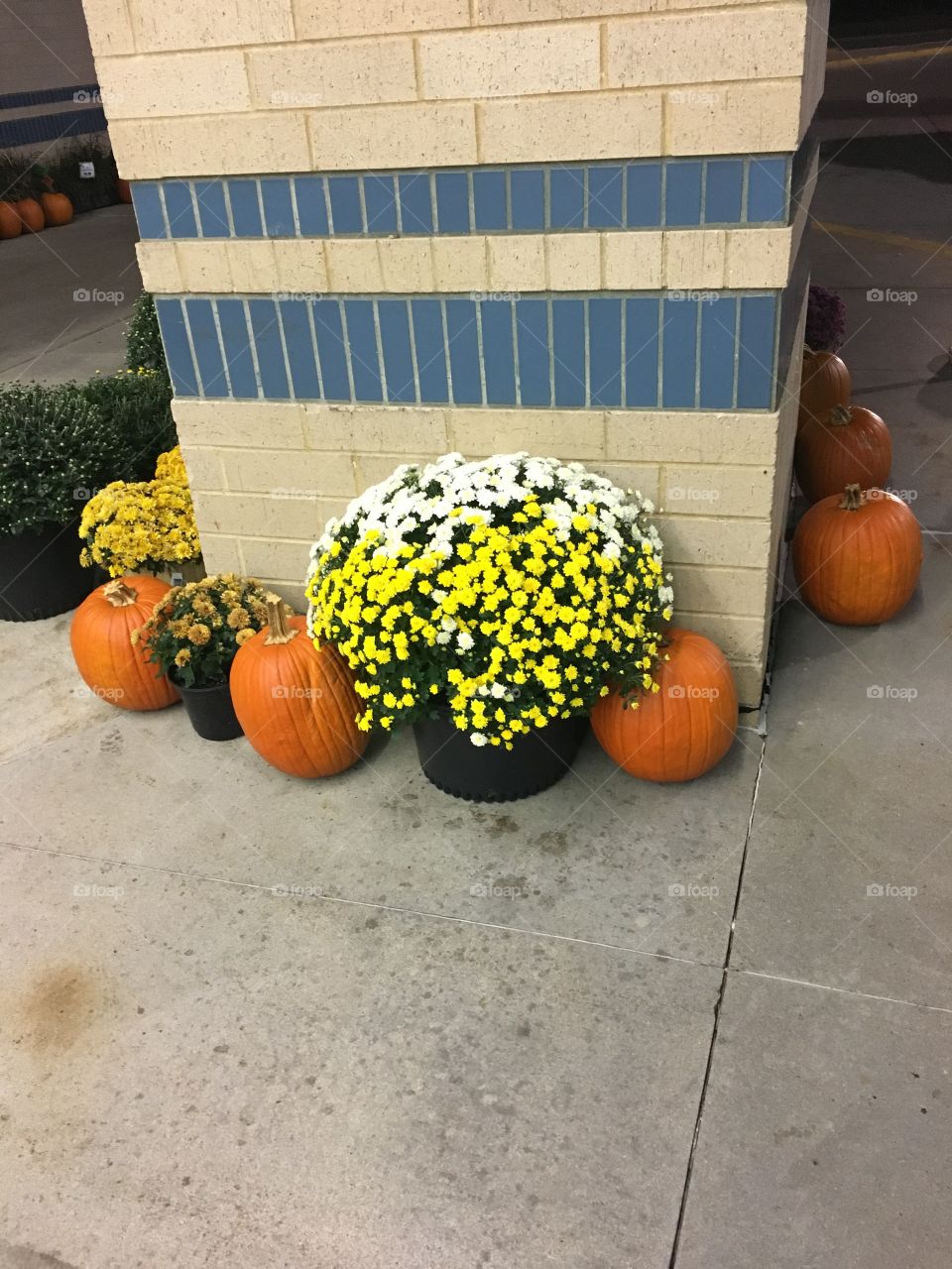 Pumpkin & floral arrangement