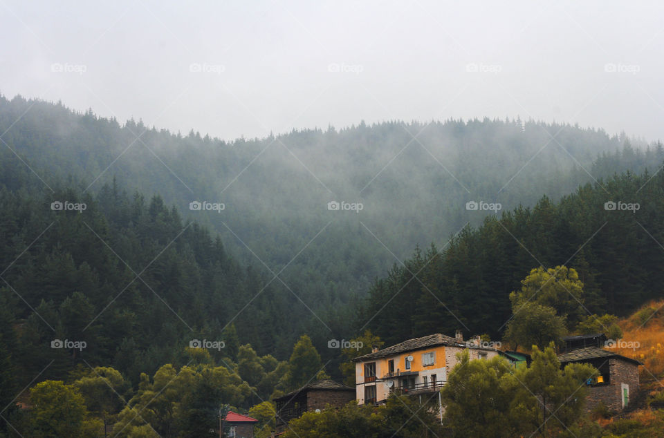 Foggy weather at the countryside