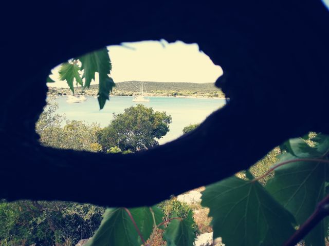 Mare
