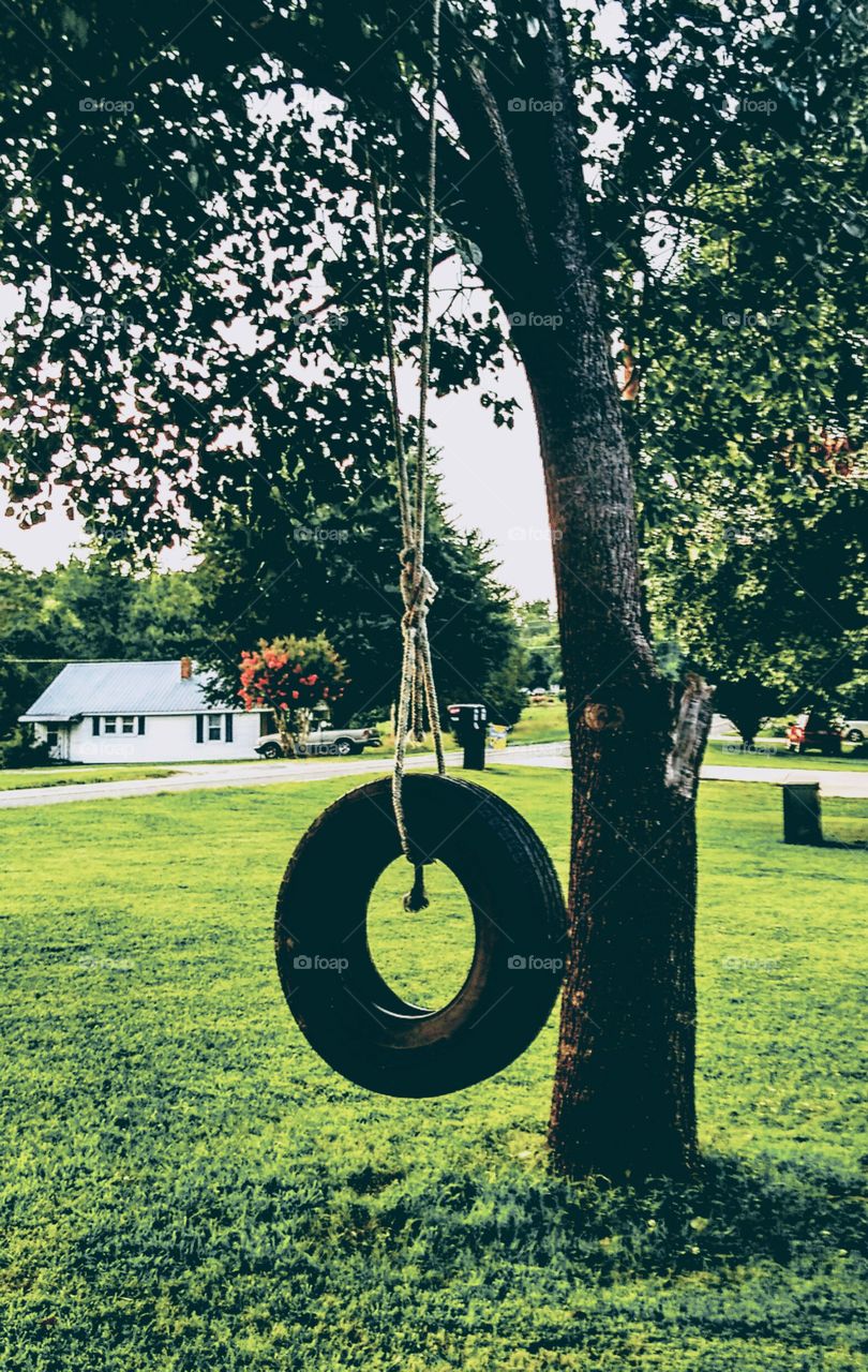 tire swing