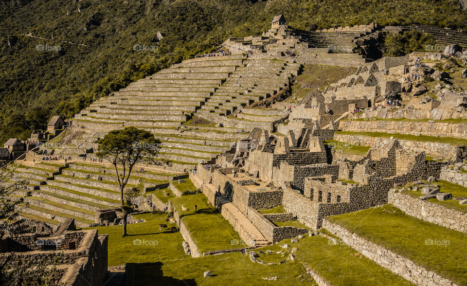 Machu Picchu 