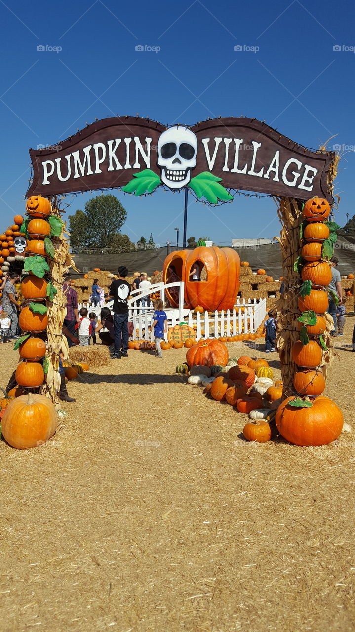 Mr. Bones Pumpkin Patch in Culver City, CA.