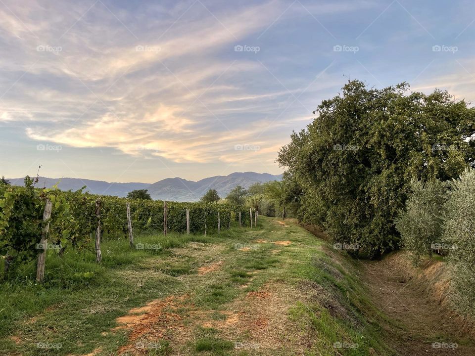 Sunset clouds in Tuscany