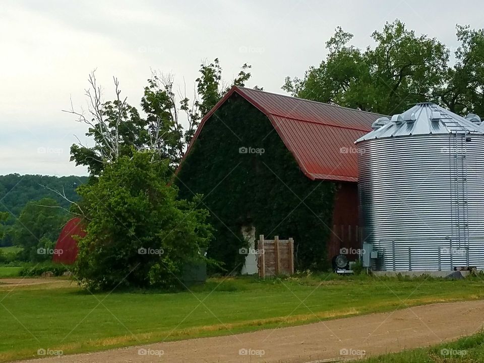 Driving the Back Roads and enjoying everything around us