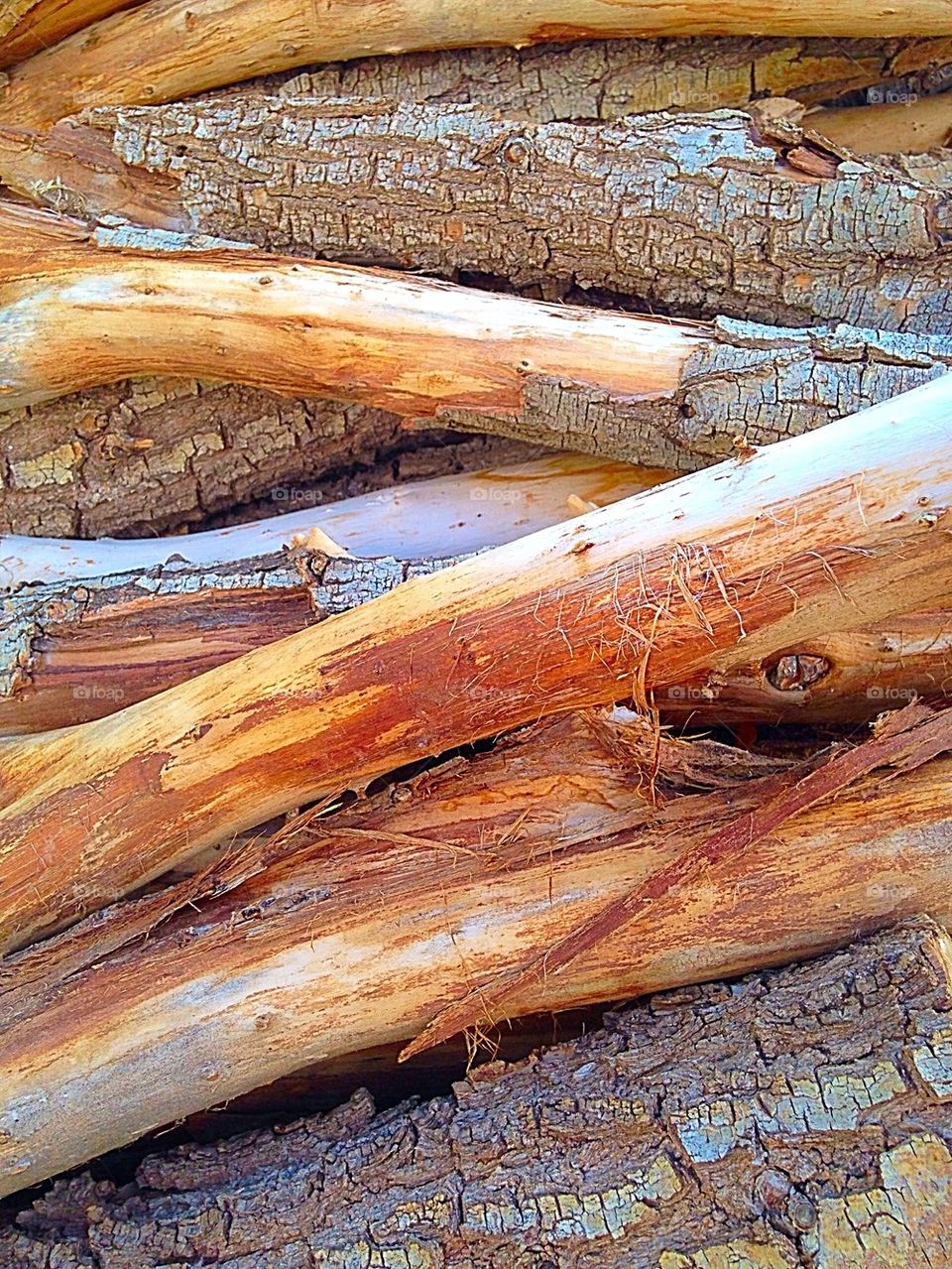 Wood willow logs