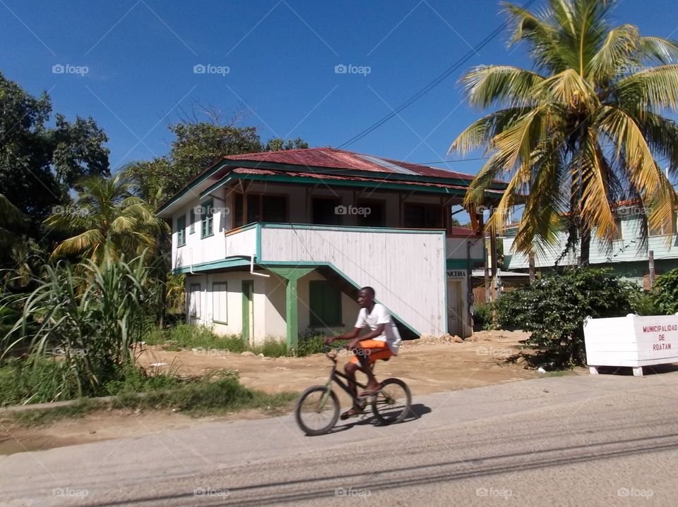 Photo from moving car traveling in Roatan, Honduras