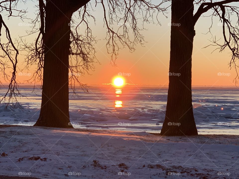 Beautiful Sunrise Between Two Trees