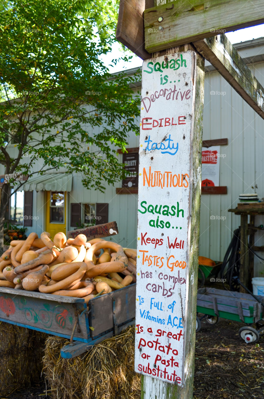 Squash display at a local pumpkin patch in the fall