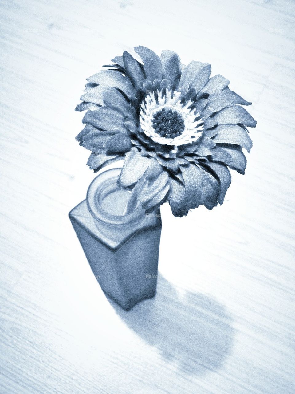 An artificial flower in a bottle