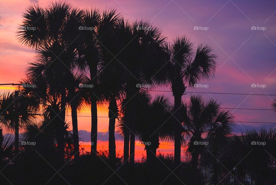 Sky at the beach