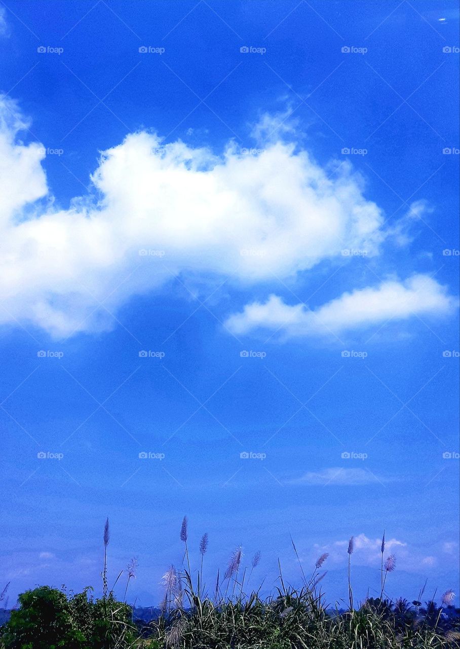 Beautiful panorama of the road with nature scenery. Panoramic, blue bright sky and colorful