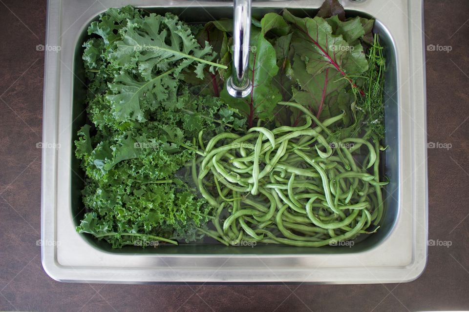 Fresh garden vegetables - beet greens, cilantro, green beans and curly kale - in a brushed stainless steel utility sink 