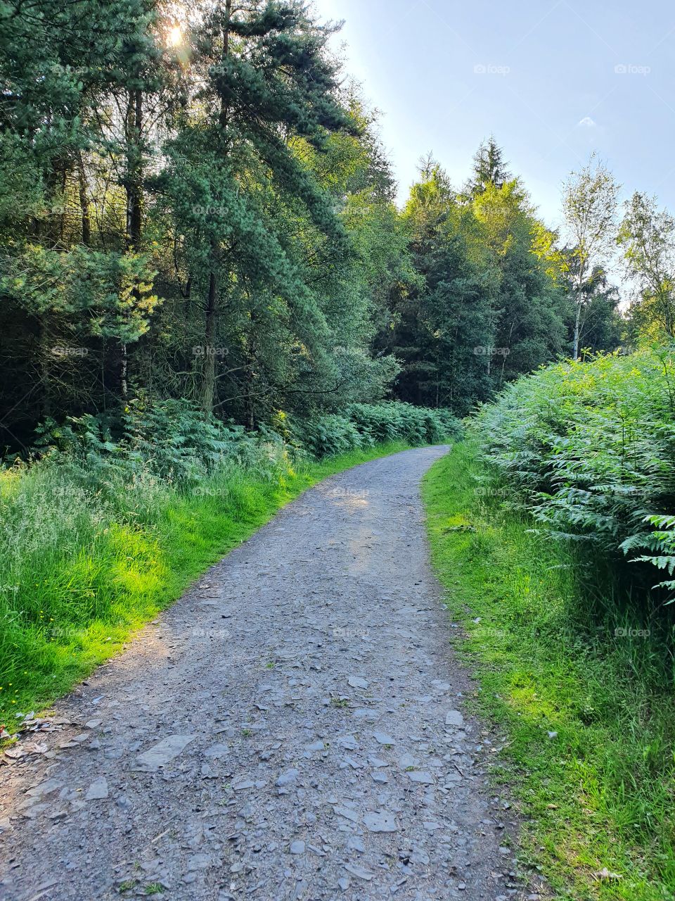 Narrow roads of the British countryside